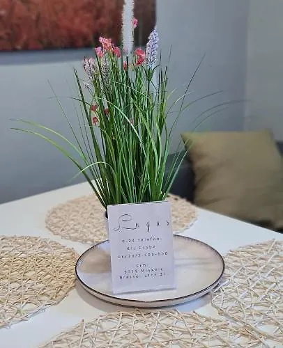 Lugas Miskolctapolca 2 Haloszoba 50m2 Dezsa Es Jakuzzi Koezel A Barlangfuerdohoez