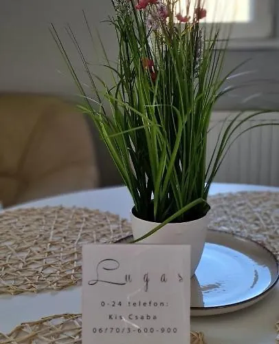 Lugas Miskolctapolca 2 Haloszoba 50m2 Dezsa Es Jakuzzi Koezel A Barlangfuerdohoez Мишкольц