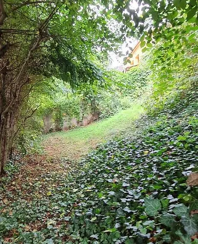 Апартаменты Lugas Miskolctapolca 2 Haloszoba 50m2 Dezsa Es Jakuzzi Koezel A Barlangfuerdohoez *