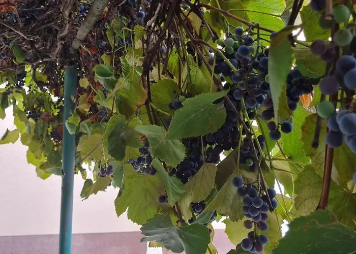 Lugas Miskolctapolca 2 Haloszoba 50m2 Dezsa Es Jakuzzi Koezel A Barlangfuerdohoez Апартаменты