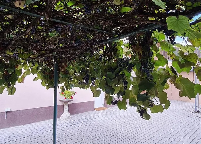 Lugas Miskolctapolca 2 Haloszoba 50m2 Dezsa Es Jakuzzi Koezel A Barlangfuerdohoez Апартаменты *